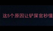 哈士奇呜呜叫真相这5个原因让铲屎官秒懂汪星人的求救信号