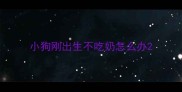 小狗刚出生不吃奶怎么办