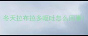 冬天拉布拉多呕吐怎么回事