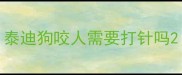 泰迪狗咬人需要打针吗