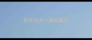 拉布拉多一直咬尾巴
