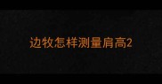 边牧怎样测量肩高
