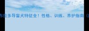 巧克力色拉布拉多导盲犬特征全性格训练养护指南附对比图