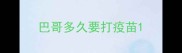 巴哥多久要打疫苗
