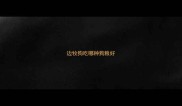 边牧狗吃哪种狗粮好