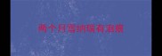 两个月雪纳瑞有泪痕