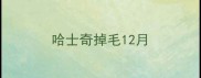 哈士奇掉毛12月