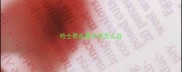 哈士奇乱要东西怎么办