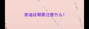 泰迪经期要注意什么