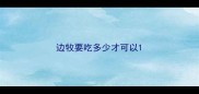 边牧要吃多少才可以