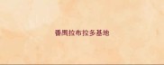 番禺拉布拉多基地