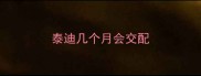泰迪几个月会交配
