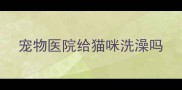 宠物医院给猫咪洗澡吗