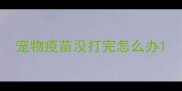 宠物疫苗没打完怎么办