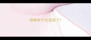 母狗半个月没奶了
