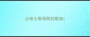 公哈士奇母阿拉斯加