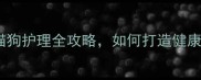 专业宠物美容猫狗护理全攻略如何打造健康快乐宠物家庭