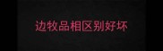 边牧品相区别好坏