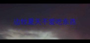 边牧夏天不爱吃东西