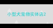 小型犬宠物实体店