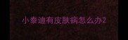 小泰迪有皮肤病怎么办
