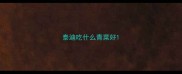 泰迪吃什么青菜好