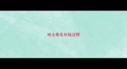 哈士奇毛长短过程