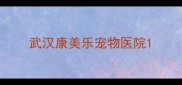 武汉康美乐宠物医院