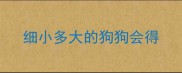 细小多大的狗狗会得