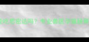 怀孕猫咪能吃思密达吗专业兽医孕猫肠胃用药指南