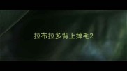 拉布拉多背上掉毛