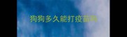 狗狗多久能打疫苗吗