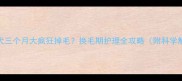 哈士奇幼犬三个月大疯狂掉毛换毛期护理全攻略附科学解决方案