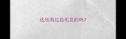 边牧有红色毛发的吗
