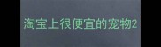 淘宝上很便宜的宠物