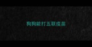 狗狗能打五联疫苗