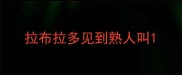 拉布拉多见到熟人叫