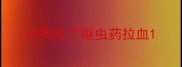 小狗吃了驱虫药拉血