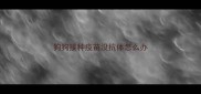 狗狗接种疫苗没抗体怎么办