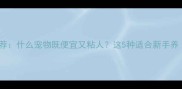 高性价比宠物推荐什么宠物既便宜又粘人这5种适合新手养附选购指南
