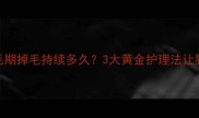 金毛幼犬换毛期掉毛持续多久3大黄金护理法让狗狗皮毛焕亮