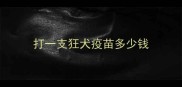 打一支狂犬疫苗多少钱