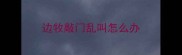 边牧敲门乱叫怎么办