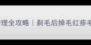 金毛剃毛后皮肤护理全攻略剃毛后掉毛红疹毛发打结怎么办