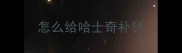 怎么给哈士奇补钙