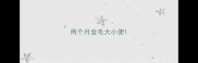 两个月金毛大小便