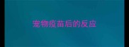 宠物疫苗后的反应