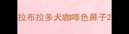 拉布拉多犬咖啡色鼻子
