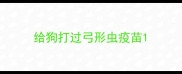 给狗打过弓形虫疫苗