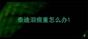 泰迪泪痕重怎么办